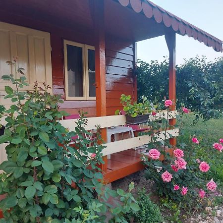 Pensiunea Raluca Mahmudia Ngoại thất bức ảnh